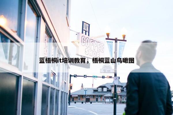 蓝梧桐it培训教育，梧桐蓝山鸟瞰图