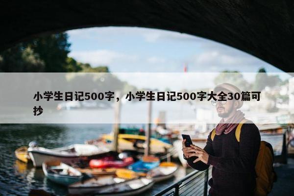 小学生日记500字，小学生日记500字大全30篇可抄