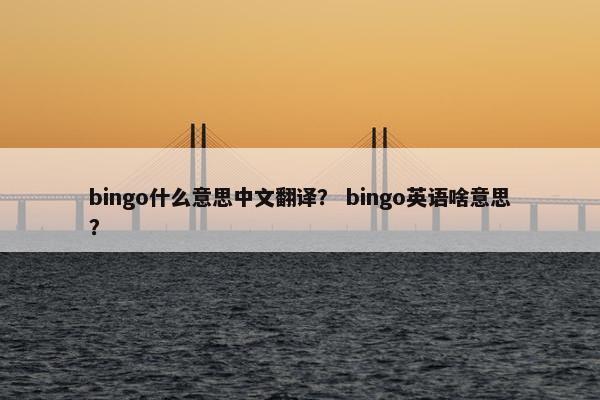 bingo什么意思中文翻译？ bingo英语啥意思？