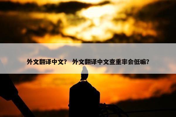 外文翻译中文？ 外文翻译中文查重率会低嘛？