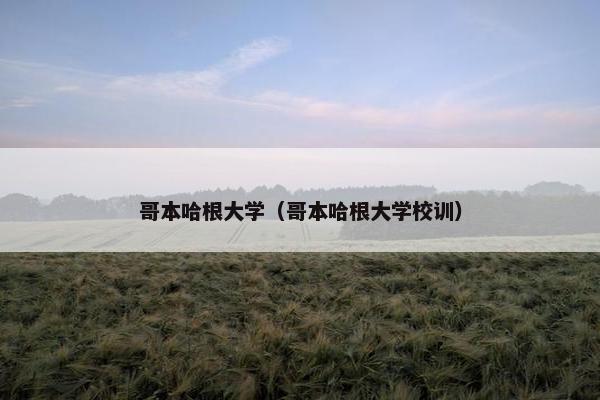 哥本哈根大学（哥本哈根大学校训）
