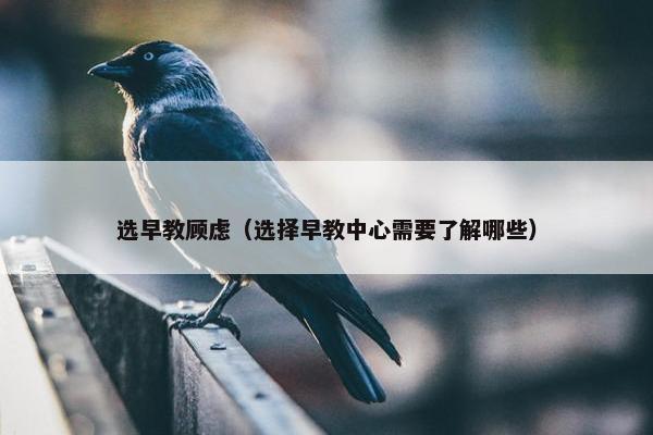 选早教顾虑（选择早教中心需要了解哪些）