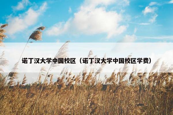 诺丁汉大学中国校区（诺丁汉大学中国校区学费）