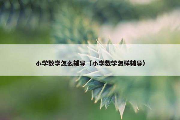 小学数学怎么辅导（小学数学怎样辅导）
