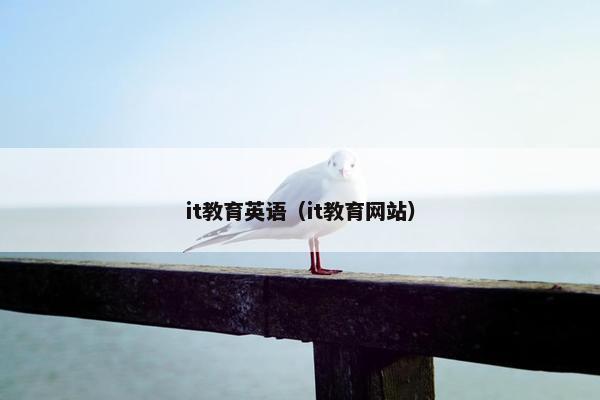 it教育英语（it教育网站）