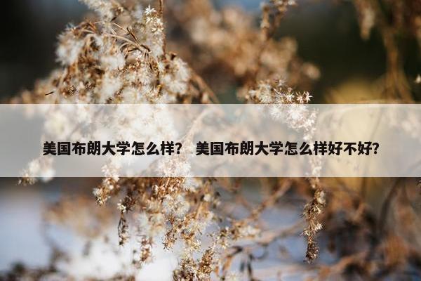 美国布朗大学怎么样？ 美国布朗大学怎么样好不好？