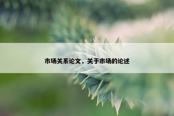 市场关系论文，关于市场的论述