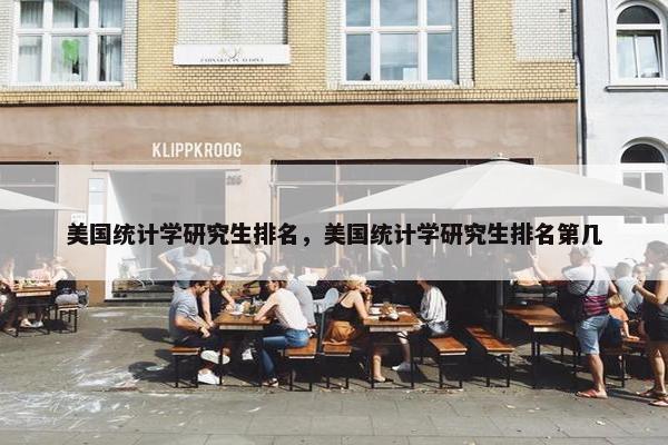 美国统计学研究生排名，美国统计学研究生排名第几
