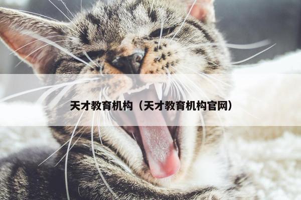 天才教育机构（天才教育机构官网）