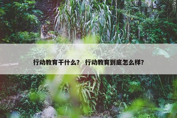 行动教育干什么？ 行动教育到底怎么样？