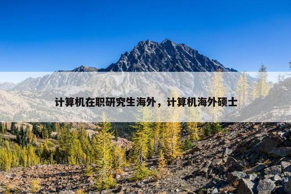 计算机在职研究生海外，计算机海外硕士