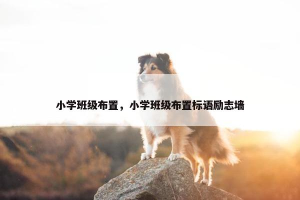 小学班级布置，小学班级布置标语励志墙