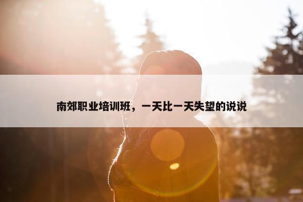 南郊职业培训班，一天比一天失望的说说