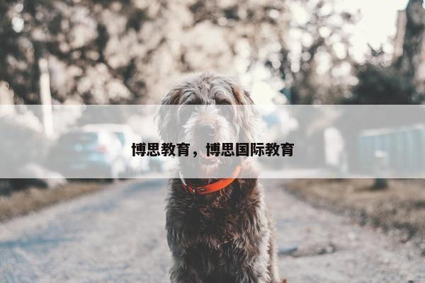 博思教育，博思国际教育