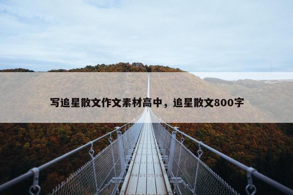 写追星散文作文素材高中，追星散文800字