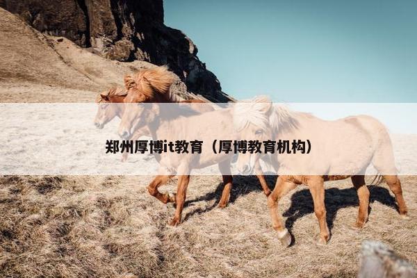 郑州厚博it教育（厚博教育机构）