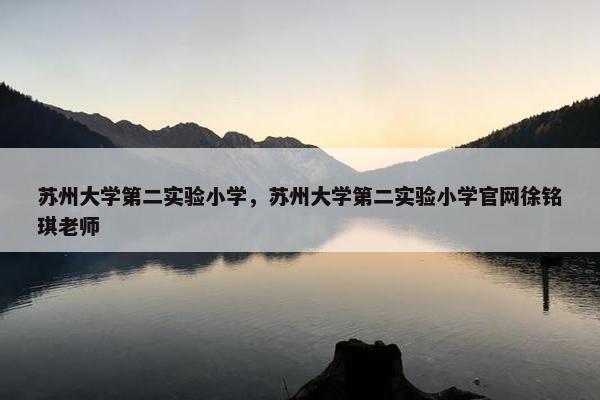 苏州大学第二实验小学，苏州大学第二实验小学官网徐铭琪老师