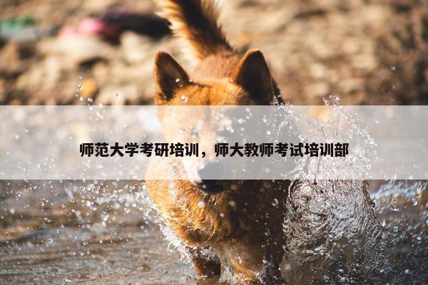 师范大学考研培训，师大教师考试培训部