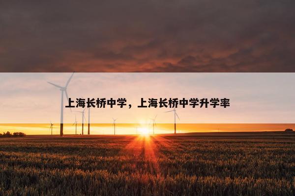 上海长桥中学，上海长桥中学升学率