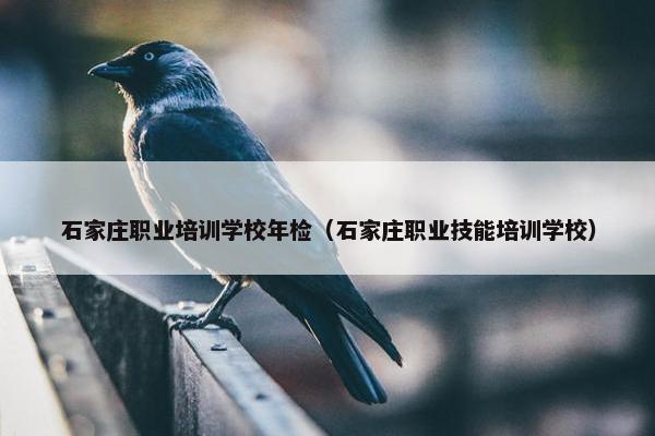 石家庄职业培训学校年检（石家庄职业技能培训学校）