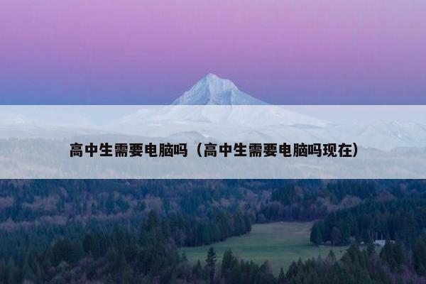 高中生需要电脑吗（高中生需要电脑吗现在）