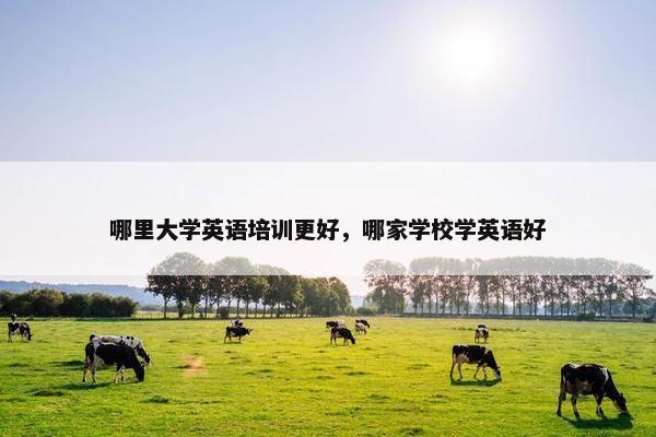 哪里大学英语培训更好，哪家学校学英语好