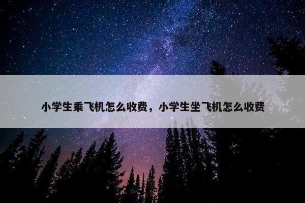 小学生乘飞机怎么收费，小学生坐飞机怎么收费
