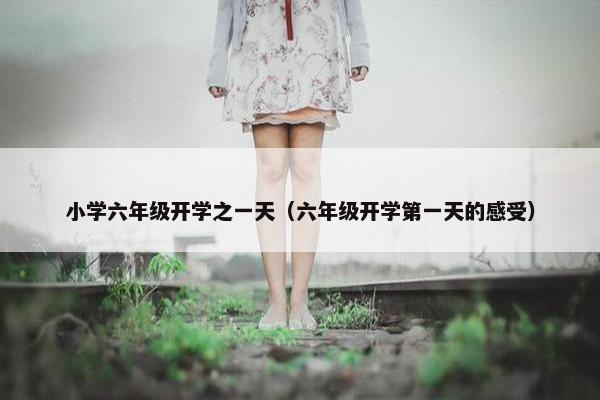 小学六年级开学之一天（六年级开学第一天的感受）