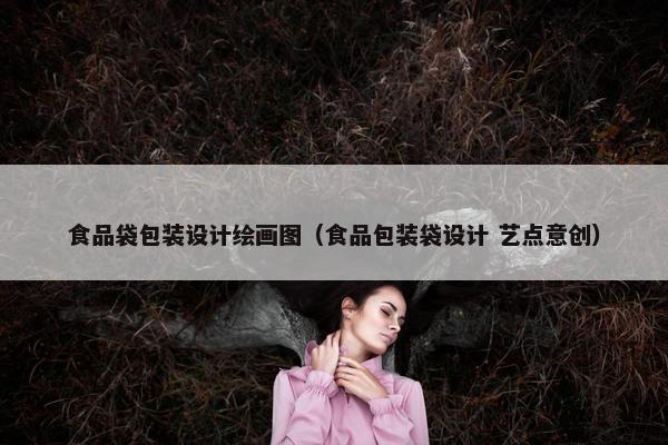 食品袋包装设计绘画图（食品包装袋设计 艺点意创）