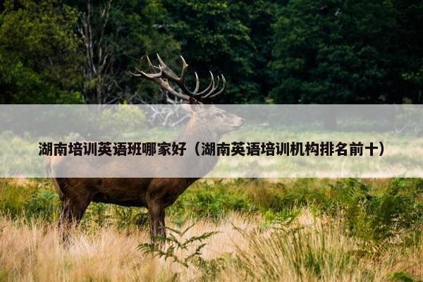 湖南培训英语班哪家好（湖南英语培训机构排名前十）