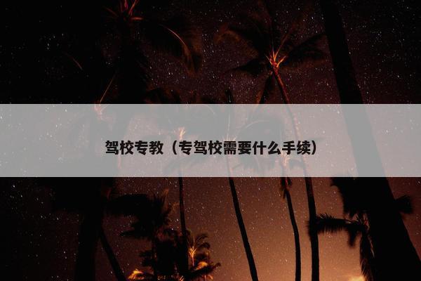 驾校专教（专驾校需要什么手续）