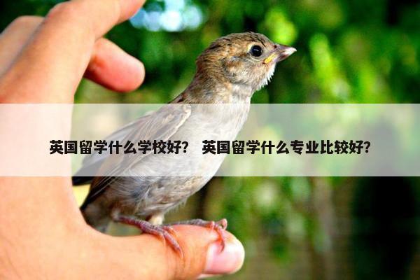 英国留学什么学校好？ 英国留学什么专业比较好？