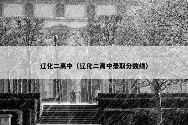 辽化二高中（辽化二高中录取分数线）