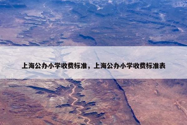 上海公办小学收费标准，上海公办小学收费标准表
