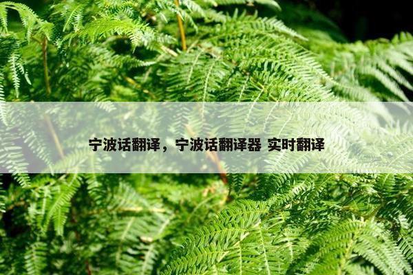宁波话翻译，宁波话翻译器 实时翻译