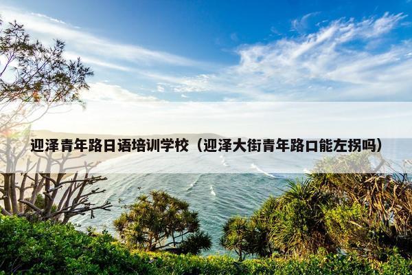 迎泽青年路日语培训学校（迎泽大街青年路口能左拐吗）