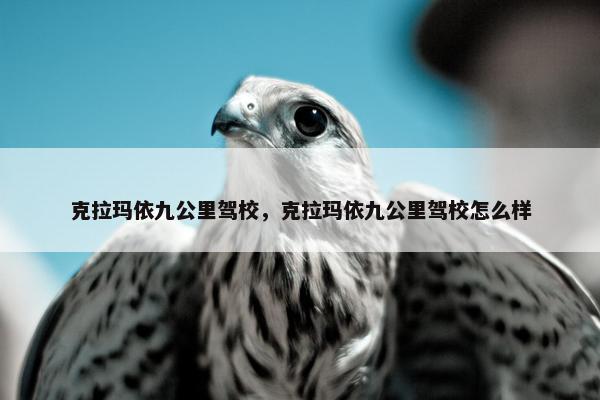 克拉玛依九公里驾校，克拉玛依九公里驾校怎么样