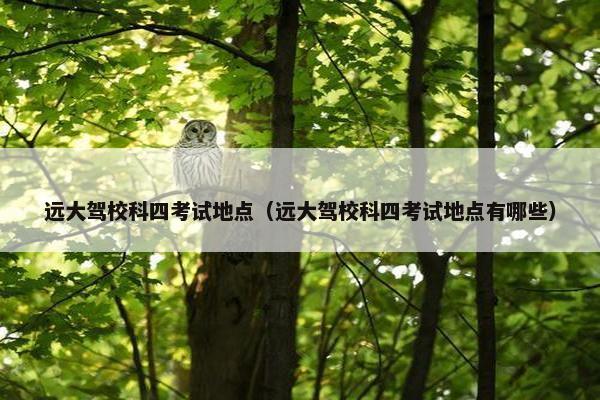 远大驾校科四考试地点（远大驾校科四考试地点有哪些）