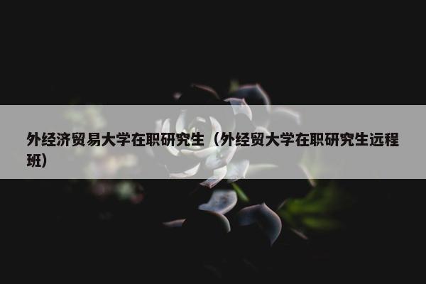 外经济贸易大学在职研究生（外经贸大学在职研究生远程班）