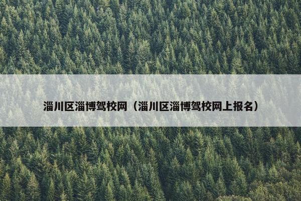 淄川区淄博驾校网（淄川区淄博驾校网上报名）