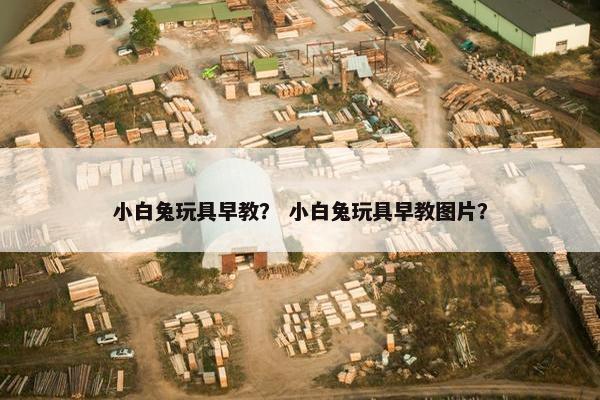 小白兔玩具早教？ 小白兔玩具早教图片？