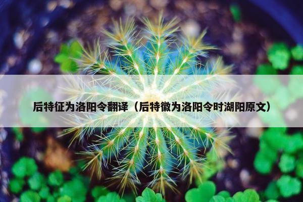 后特征为洛阳令翻译（后特徽为洛阳令时湖阳原文）