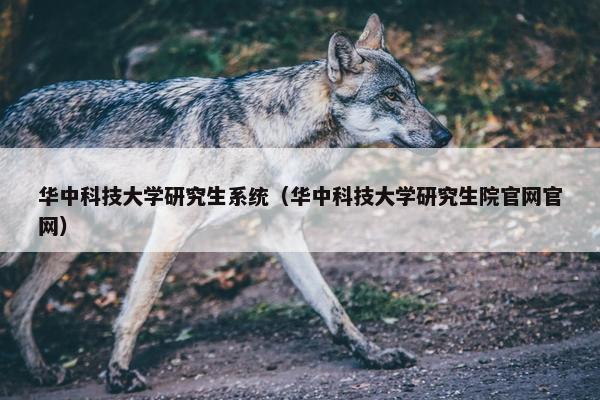 华中科技大学研究生系统（华中科技大学研究生院官网官网）