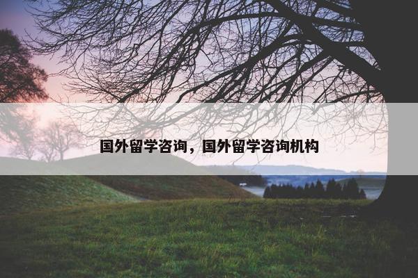 国外留学咨询，国外留学咨询机构