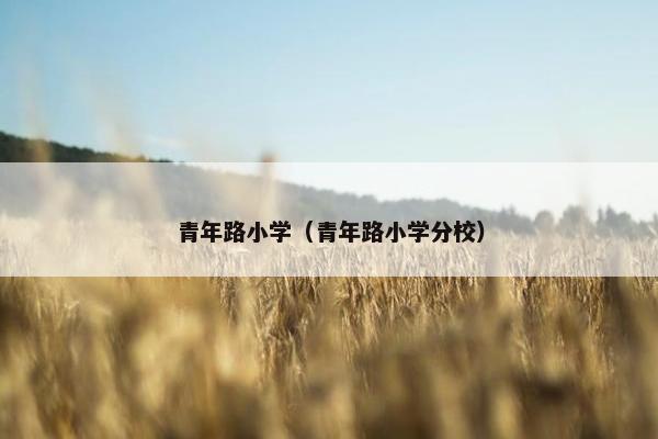 青年路小学（青年路小学分校）
