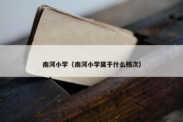 南河小学（南河小学属于什么档次）
