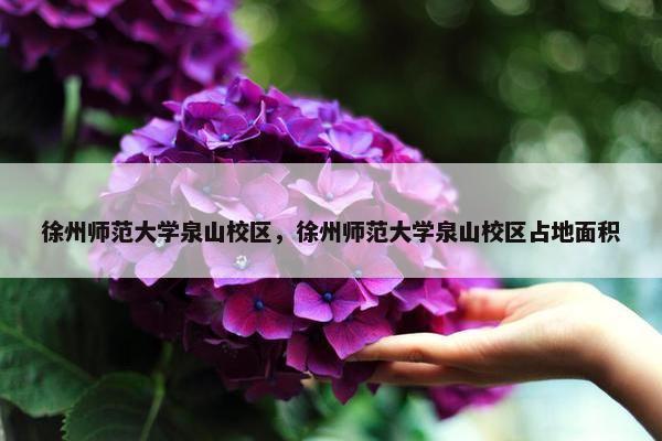 徐州师范大学泉山校区，徐州师范大学泉山校区占地面积