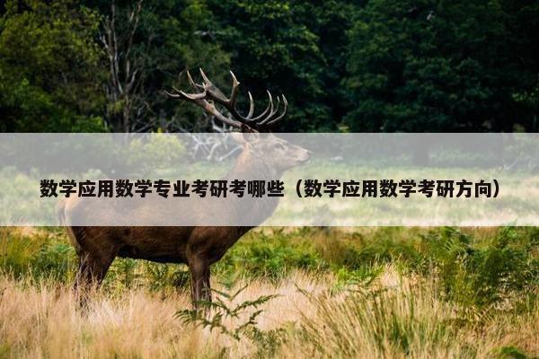 数学应用数学专业考研考哪些（数学应用数学考研方向）