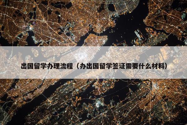 出国留学办理流程（办出国留学签证需要什么材料）