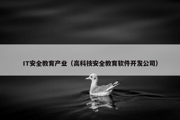 IT安全教育产业（高科技安全教育软件开发公司）